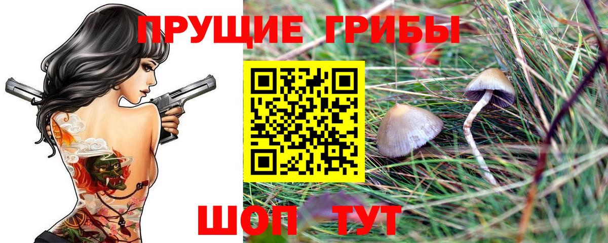 Галлюциногенные грибы ЛСД Астрахань