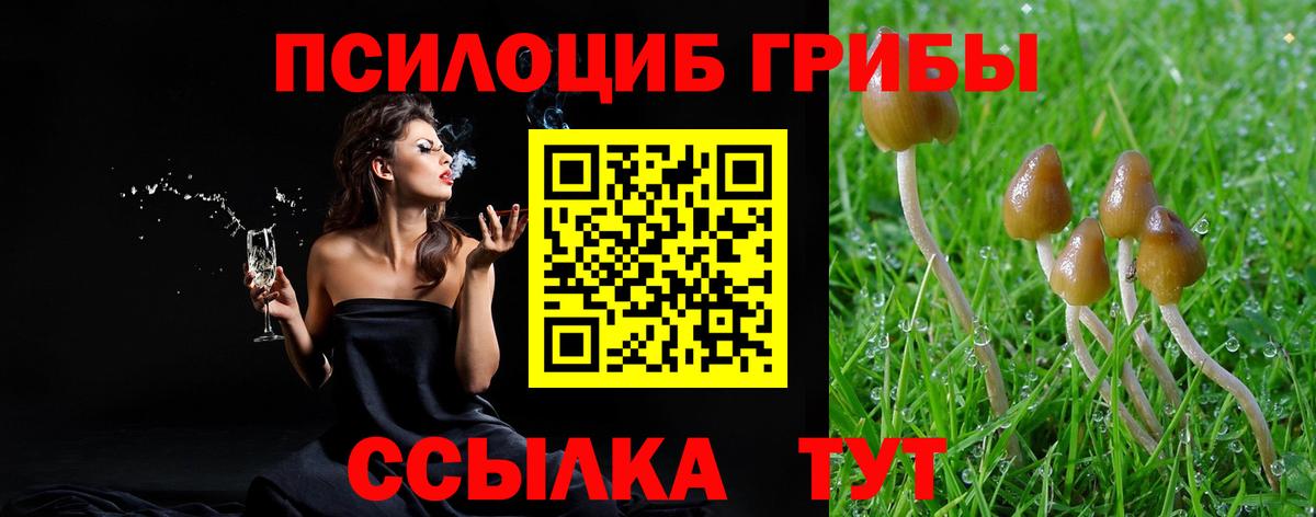 Астрахань  Псилоцибиновые грибы мицелий  Псилоцибиновые грибы мухоморы  Вход с VPN 